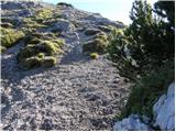 Zadnji travnik - Obel kamen (Olševa)